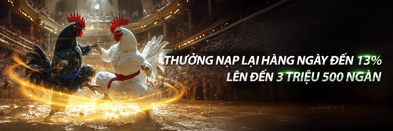 Hình ảnh đại diện 66clup link mới, nền tảng cá cược và giải trí trực tuyến hàng đầu